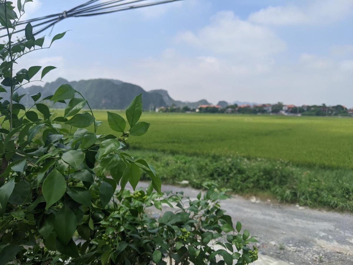 Cocoon Tam Coc Отель типа 